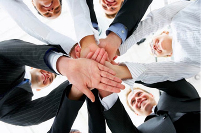 Equipo Profesional